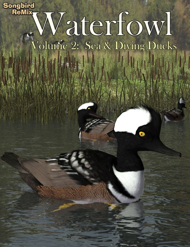 SBRM Waterfowl Vol 2 – Sea & Diving Ducks