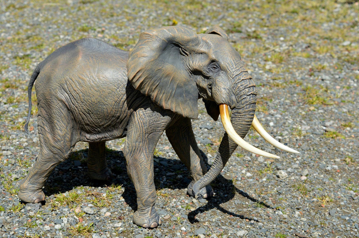 Details about   Kaiyodo Mega Soft Advance African Elephant about 300mm MSA-007 Figure Doll Japan 