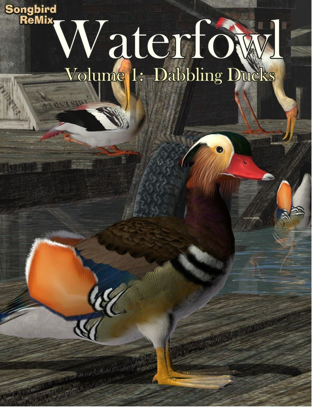 SBRM Waterfowl Vol 1 – Dabbling Ducks