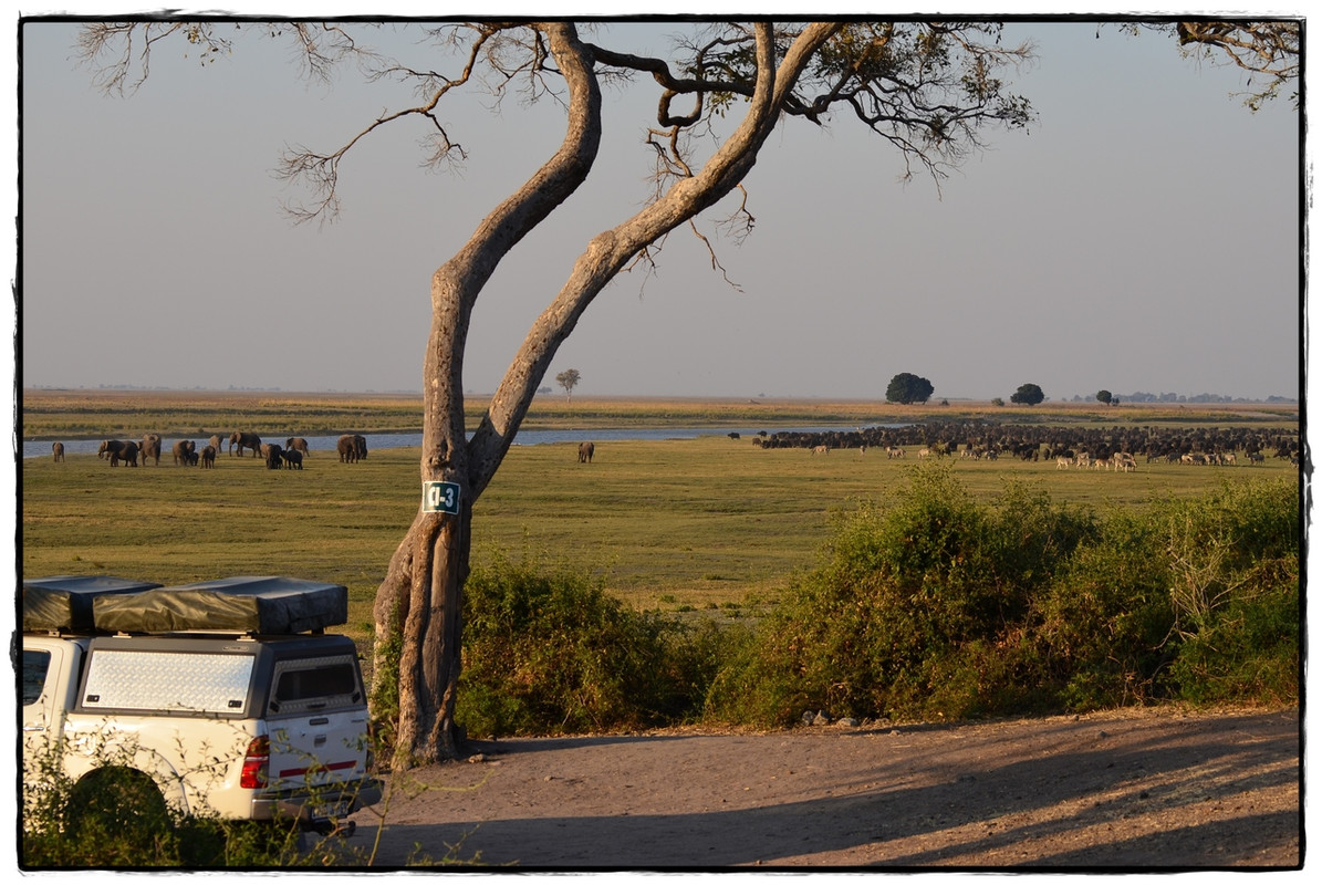 Chobe - Riverfront - Aventuras por Namibia, Botswana y Cataratas Victoria a nuestra bola (7)