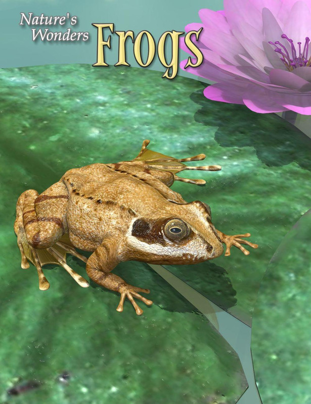 Nature’s Wonders Frogs