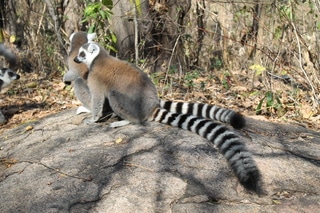 Casi un mes deambulando por Madagascar. - Madagascar, inolvidable (59)