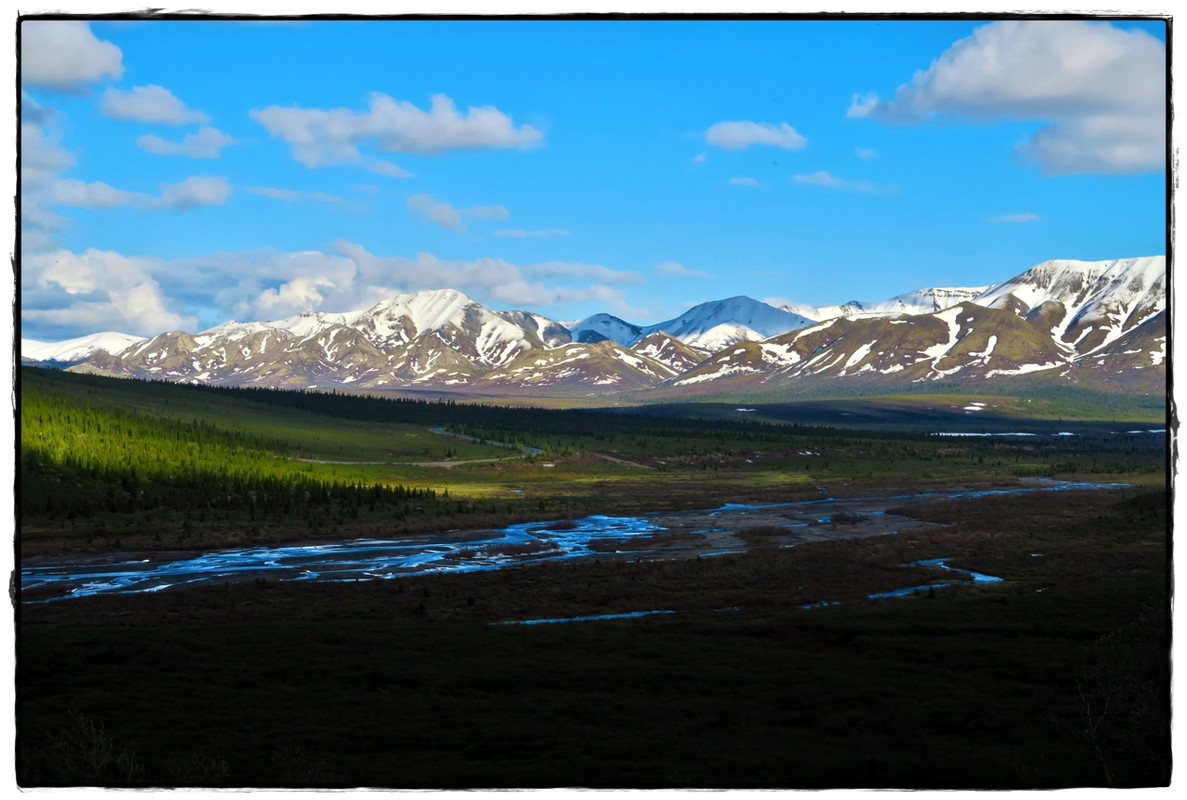 Alaska por tierra, mar y aire - Blogs de America Norte - 11 de junio. Llegamos a Denali National Park (16)