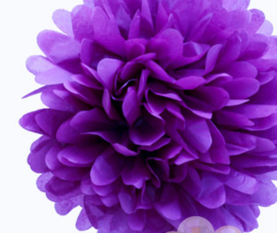 Tissue Paper Pom Poms Honeycomb Balls Fans Wedding Party Baby Living Room Deco - Picture 22 of 68
