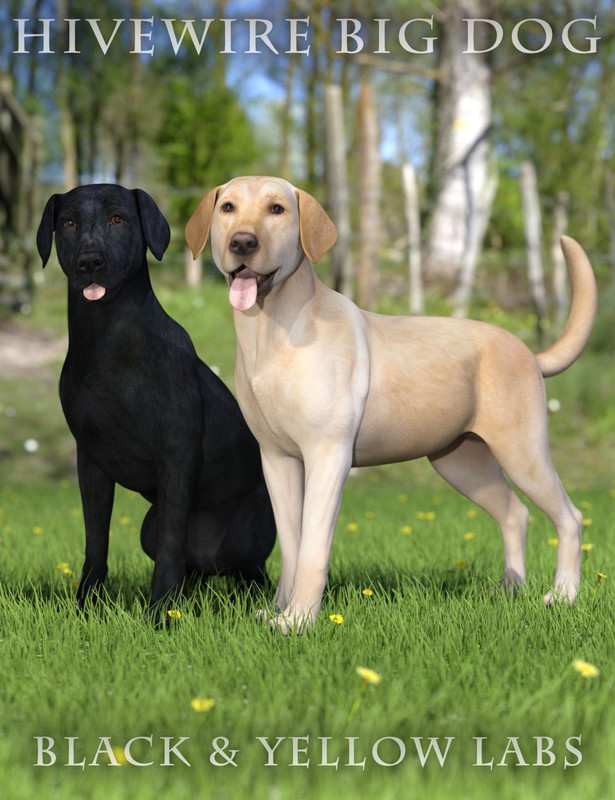11796 black and yellow labs for the hivewire big dog main