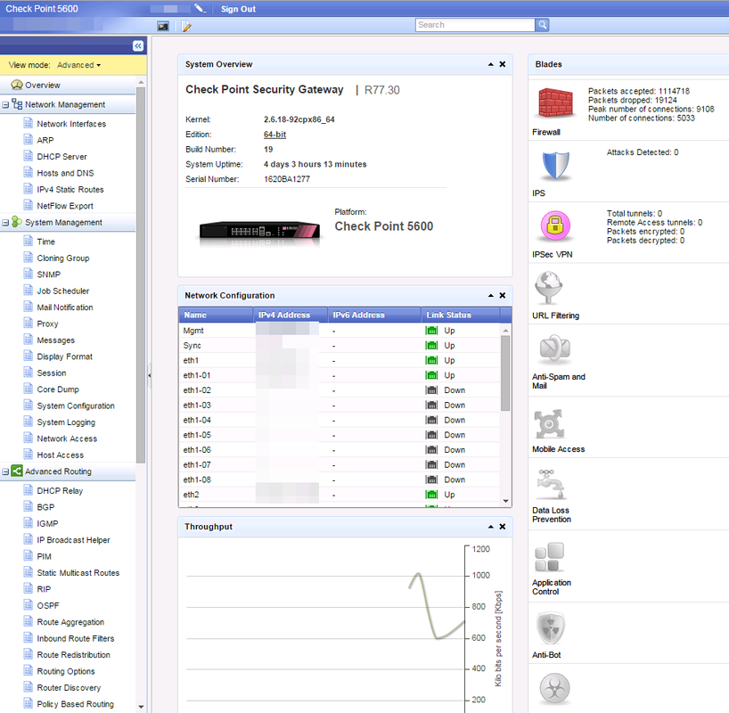 Check Point Firewall Memory Issue