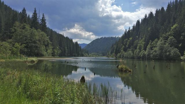 Rumania: del sur al norte y volver - Blogs de Rumania - Falticeni - Gargantas del Bicaz – Lacul Rosu – Sighisoara (3)