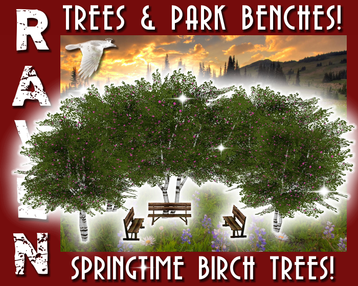SPRINGTIME_BIRCH_TREES_BENCHES_png