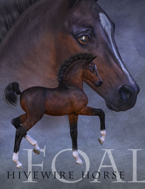 HiveWire Foal
