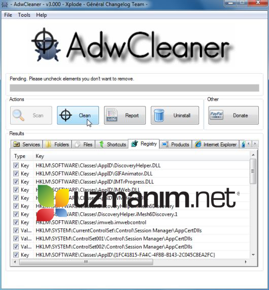Squirrel Web kaldırma - temizleme ekranı