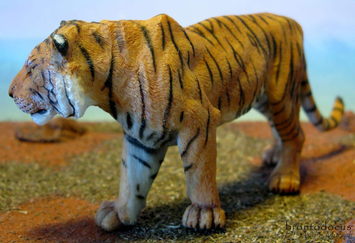 Papo 50208 Stehender Tiger 10,5 cm Wildtiere 