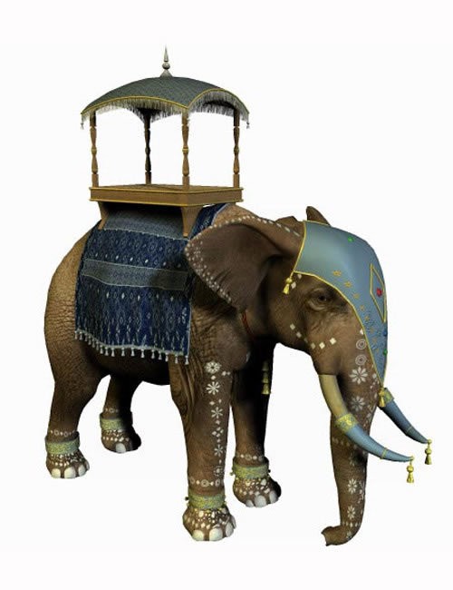 Howdah Set for African Elephant