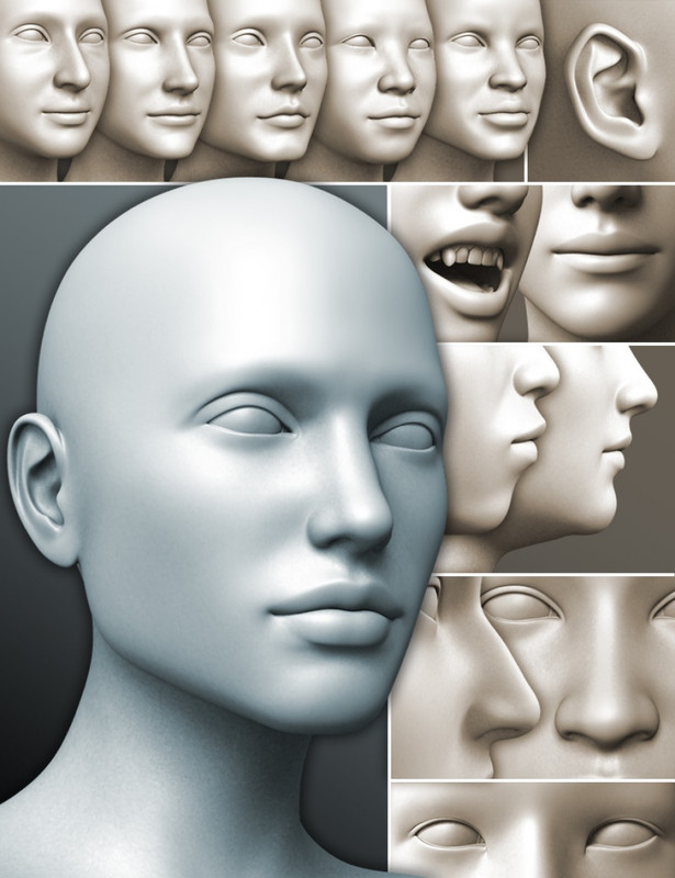 200 Plus – Head & Face Morphs for Genesis 3 Female(s)
