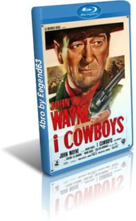 I cowboys (1972).mkv BDRip 720p x264 AC3 iTA-ENG