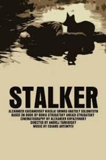 Stalker (1979).mkv BDRip 480p x264 AC3 iTA
