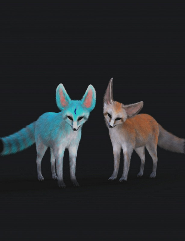 Fennec for Foxes by AM