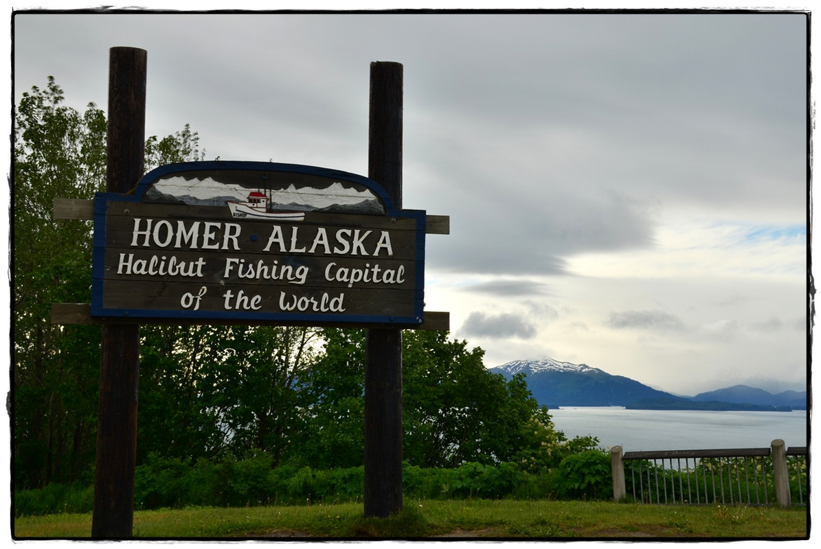 18 de junio. Osos… o no. Plan B: Kachemak Bay State Park - Alaska por tierra, mar y aire (9)