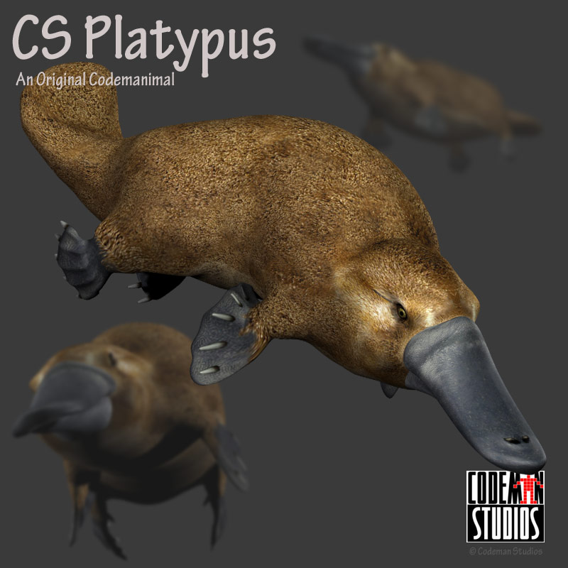 CS Platypus