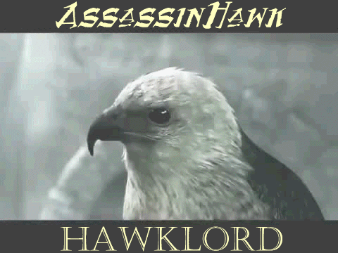Assassins_Hawk3