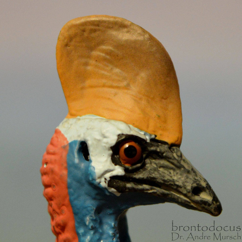CollectA Southern casuarius