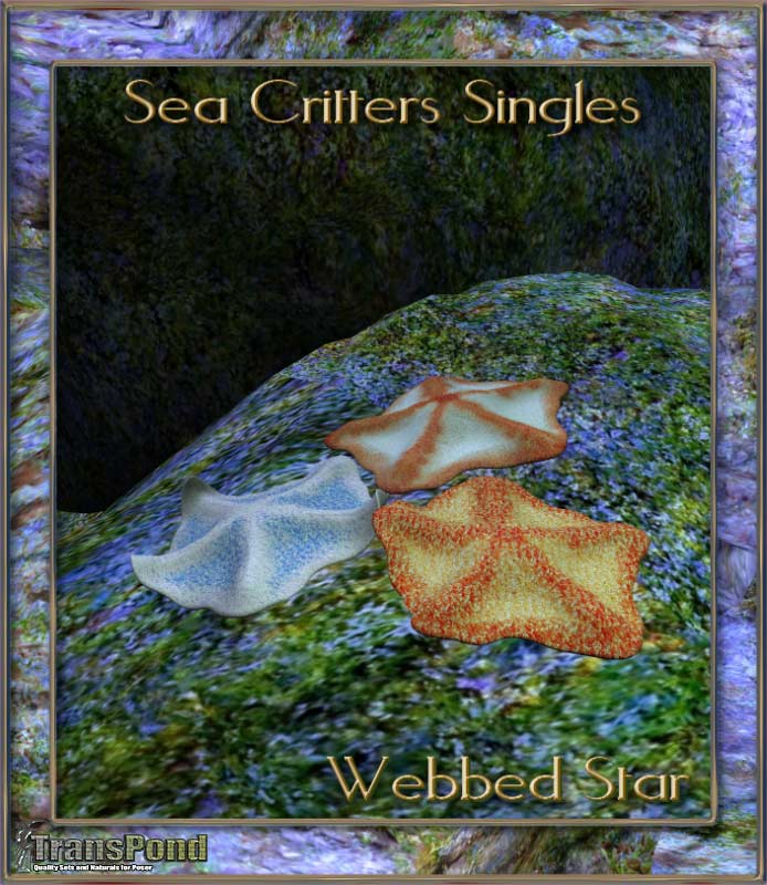 Sea Critters Singles – Webbed Star