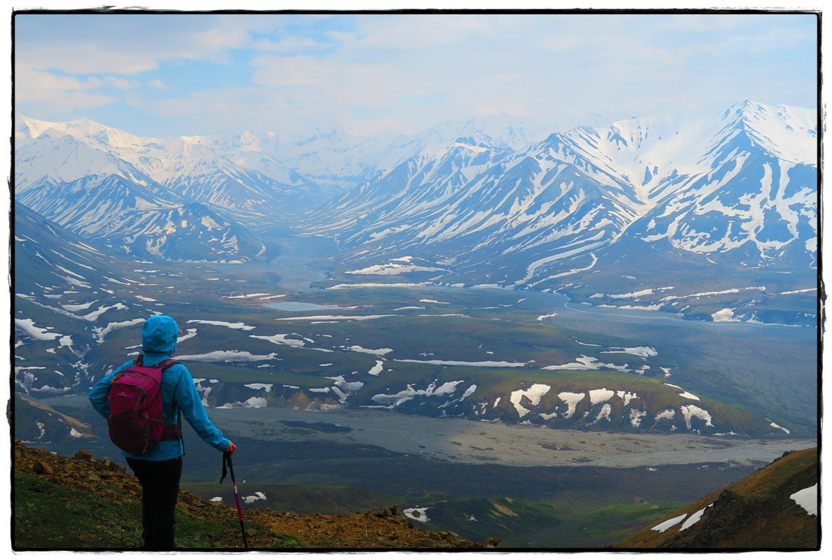 Alaska por tierra, mar y aire - Blogs de America Norte - 13 de junio. Denali NP: Disco hike (6)