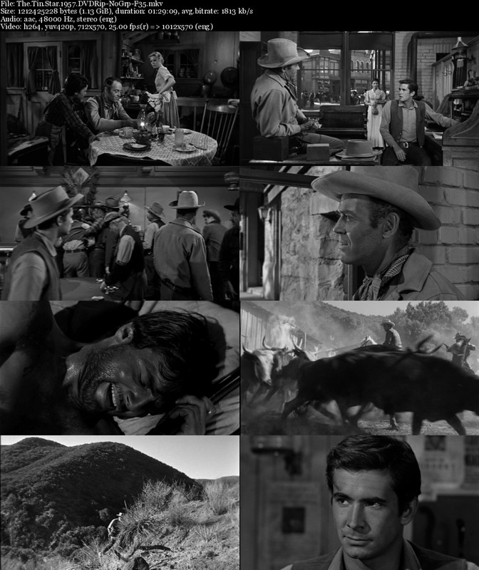 the tin star by jl langley the tin star by jl langley
