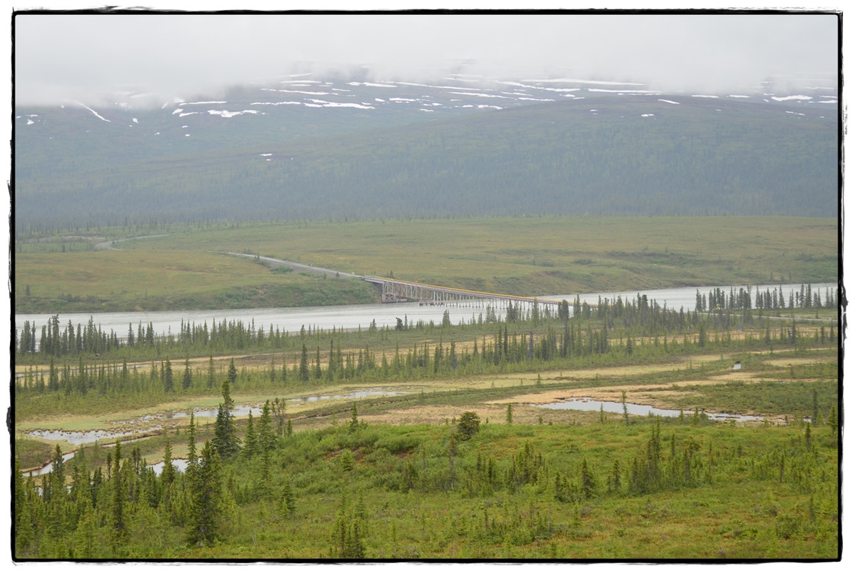 Alaska por tierra, mar y aire - Blogs de America Norte - 10 de junio. Denali Highway (3)