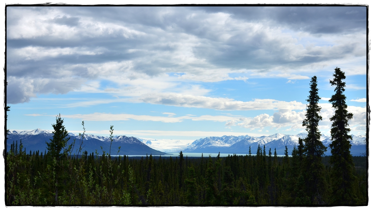 5 de junio. Camino de Valdez - Alaska por tierra, mar y aire (9)