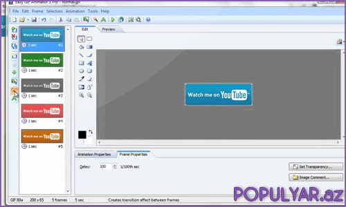 Easy Gif Animator Pro 6.2 Full Easy Gif Animator Pro 6.2 Full