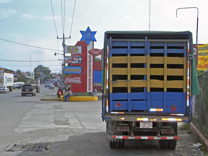 COSTA RICA: UN SOUVENIR DE TORNILLOS Y CLAVOS - Blogs of Costa Rica - SAN JOSE – TORTUGUERO (4)