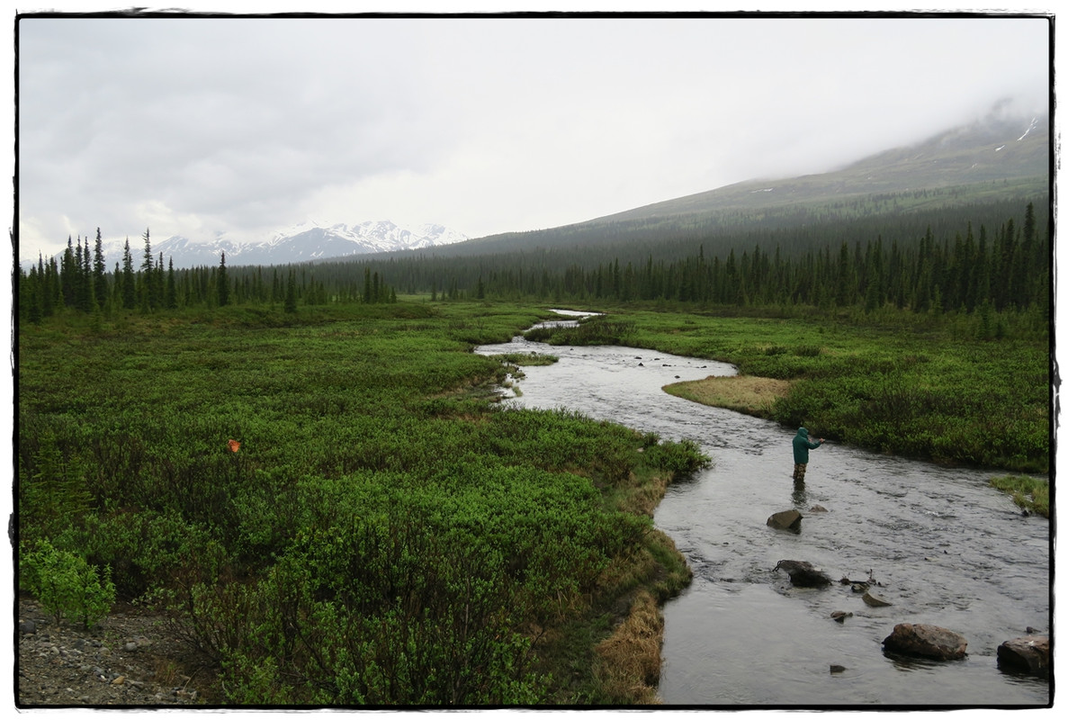 Alaska por tierra, mar y aire - Blogs de America Norte - 10 de junio. Denali Highway (4)