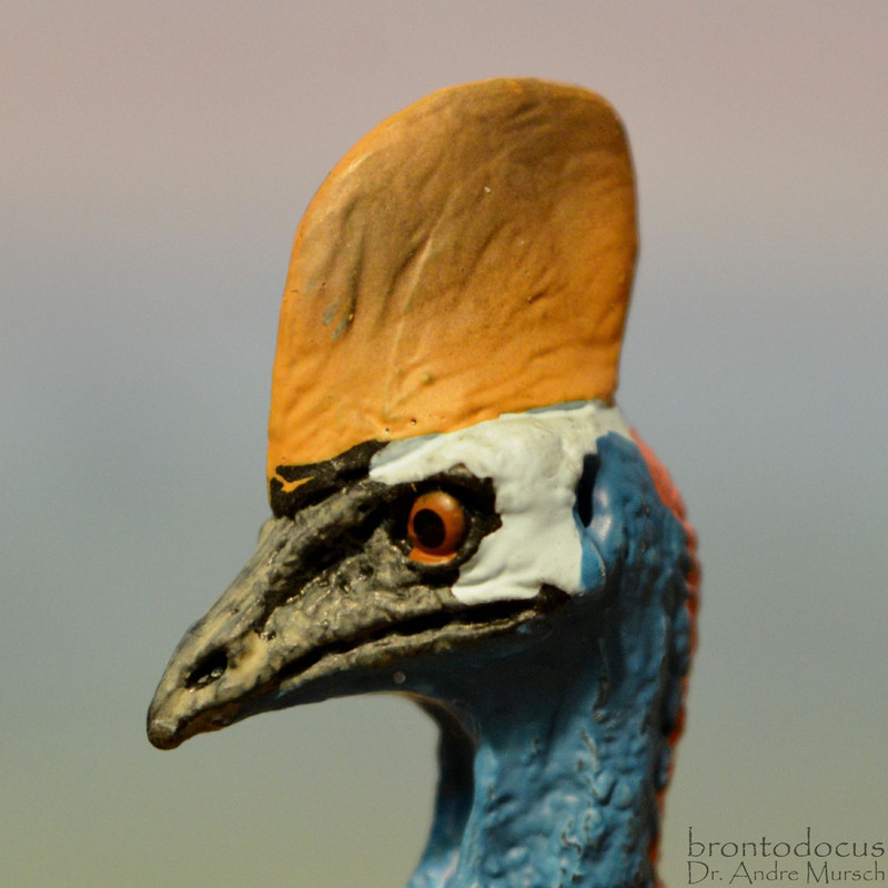 stuffed cassowary