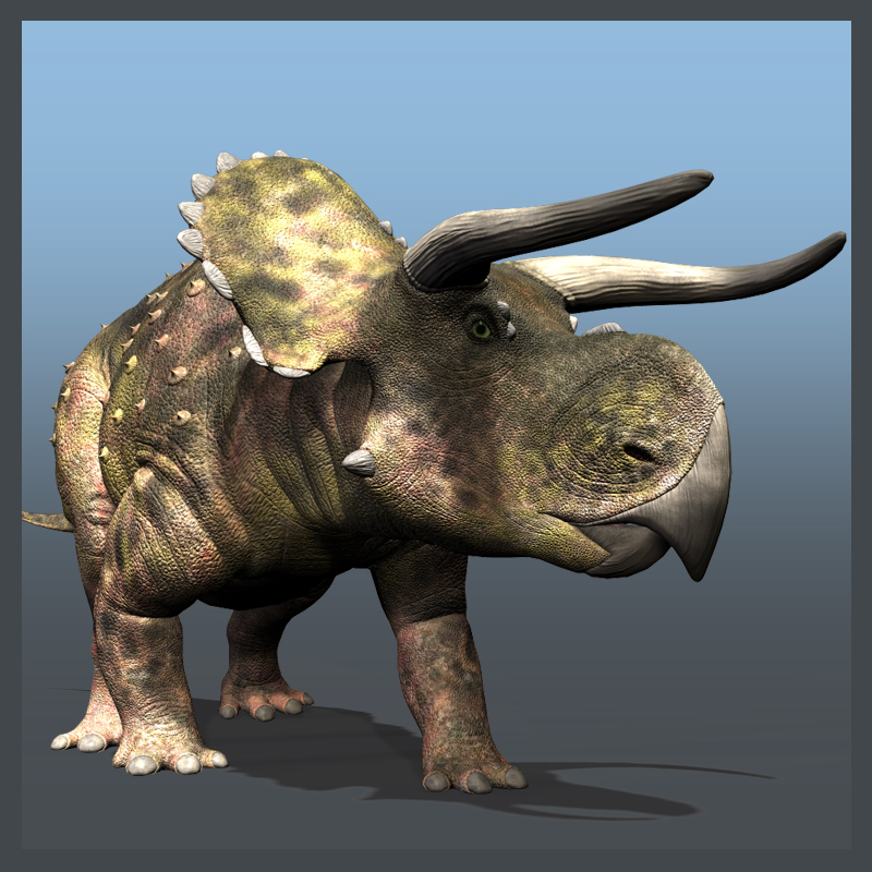RO101746 Nasutoceratops DR
