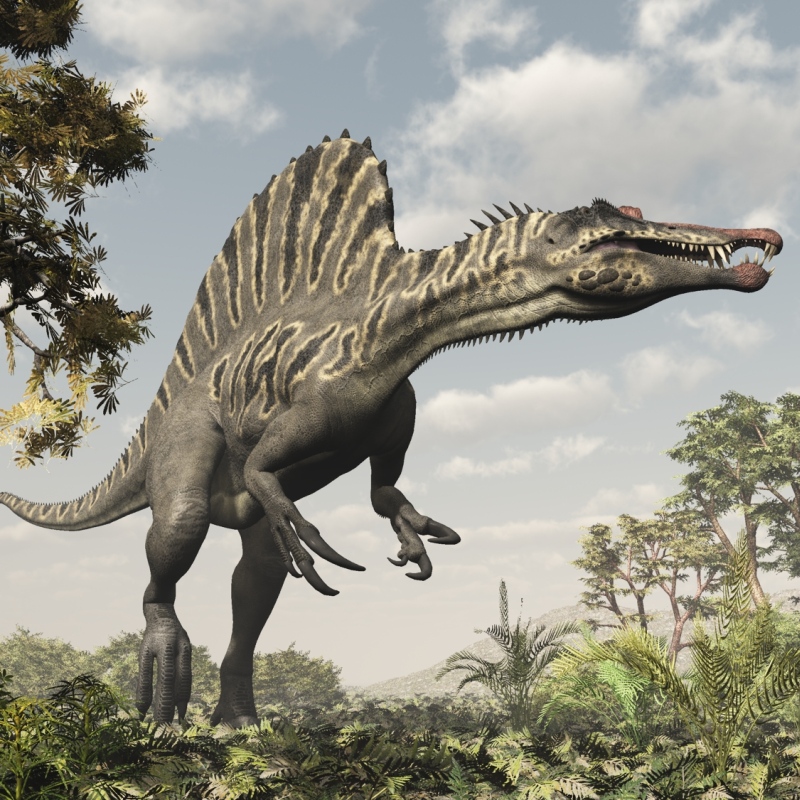 RO82706 Spinosaurus DR2