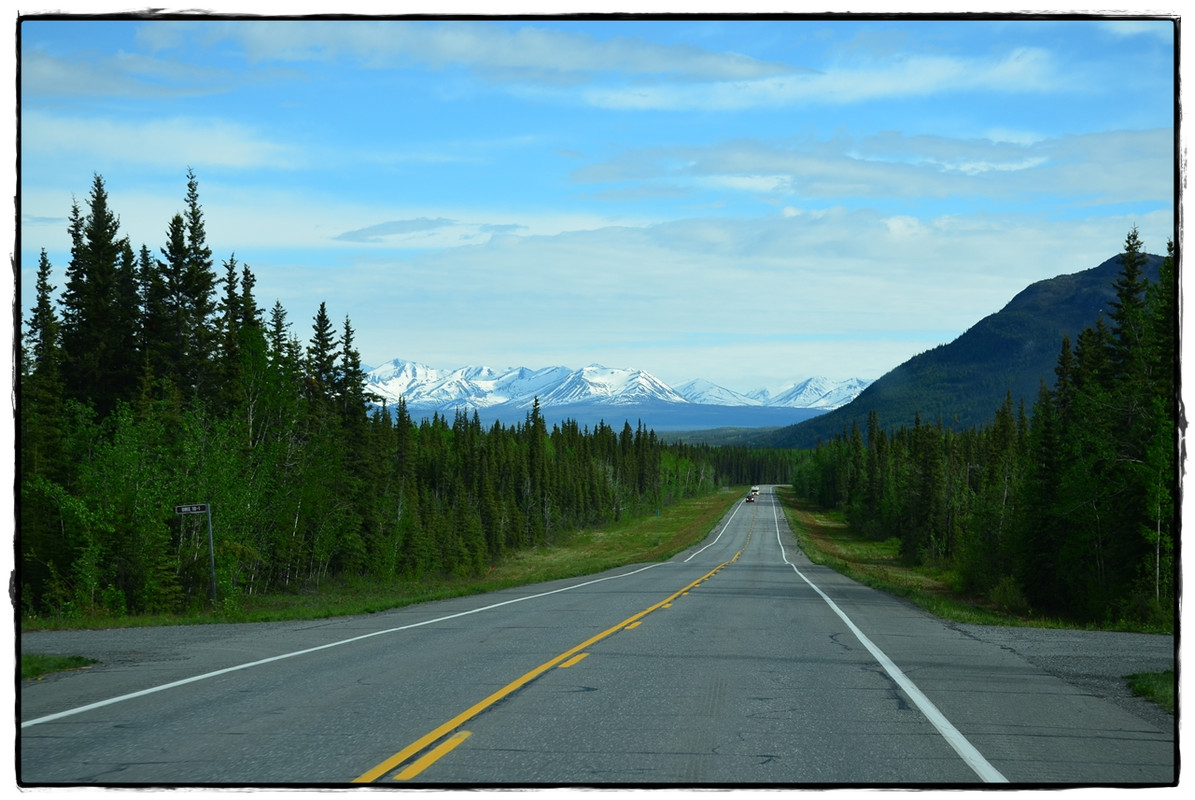 Alaska por tierra, mar y aire - Blogs of America North - 5 de junio. Camino de Valdez (10)