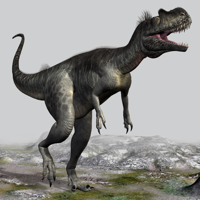 RO83481 Megalosaurus DR