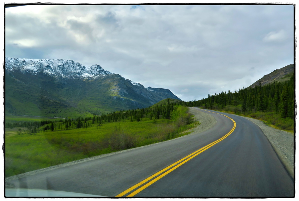 Alaska por tierra, mar y aire - Blogs de America Norte - 11 de junio. Llegamos a Denali National Park (12)