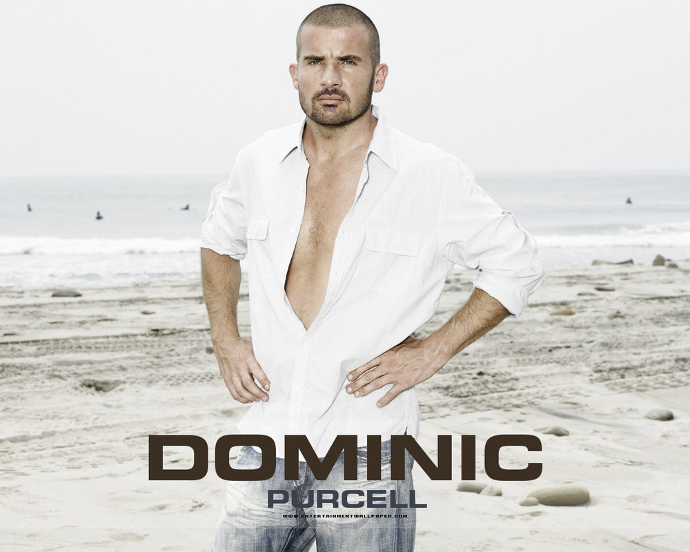 dominic purcell