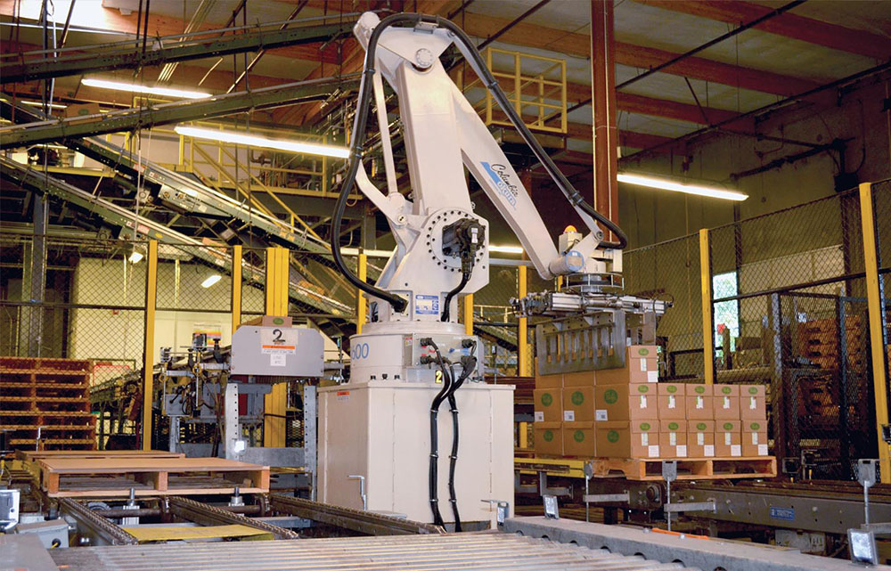 Hold op Hende selv Macadam Robots Rise to Packaging Challenges | Automation World
