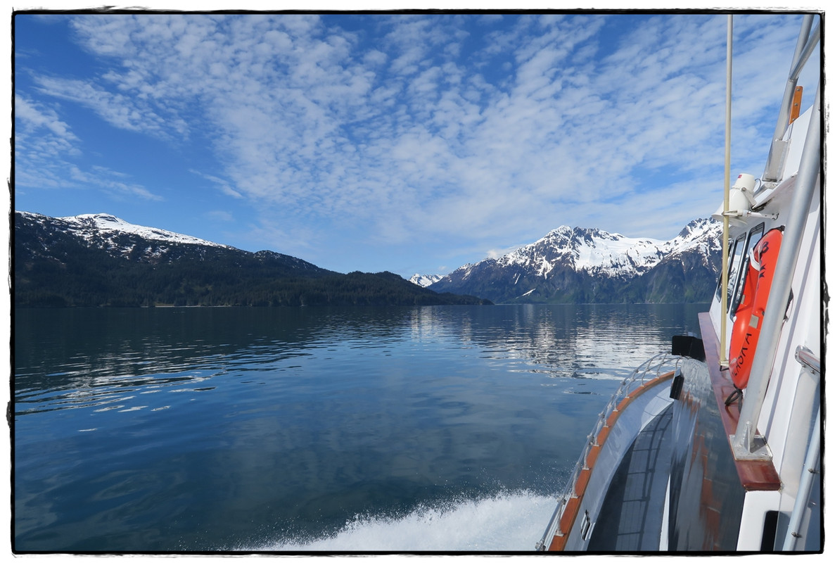 Alaska por tierra, mar y aire - Blogs of America North - 6 de junio. Crucero por el Prince William Sound (6)