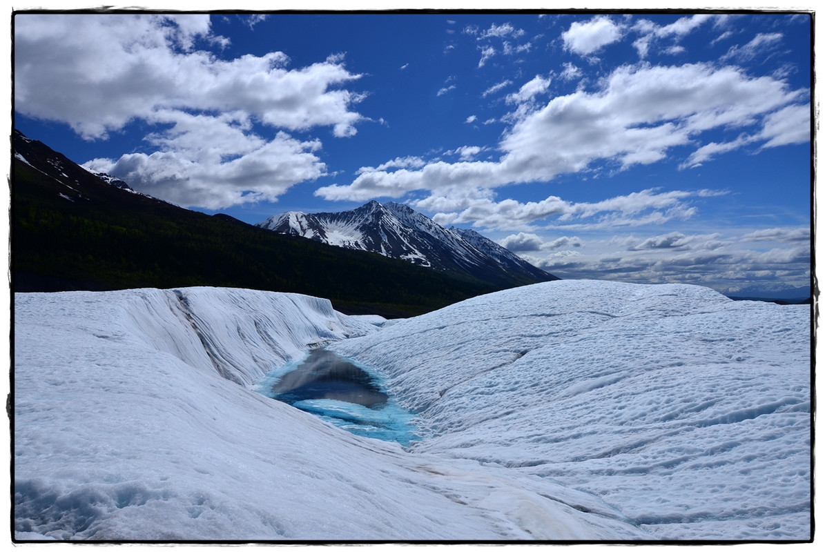 Alaska por tierra, mar y aire - Blogs de America Norte - 9 de junio. Glacier hike y vuelta a la civilización (8)