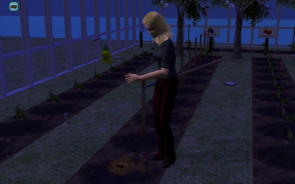 Lakewood_round3_197-600x375