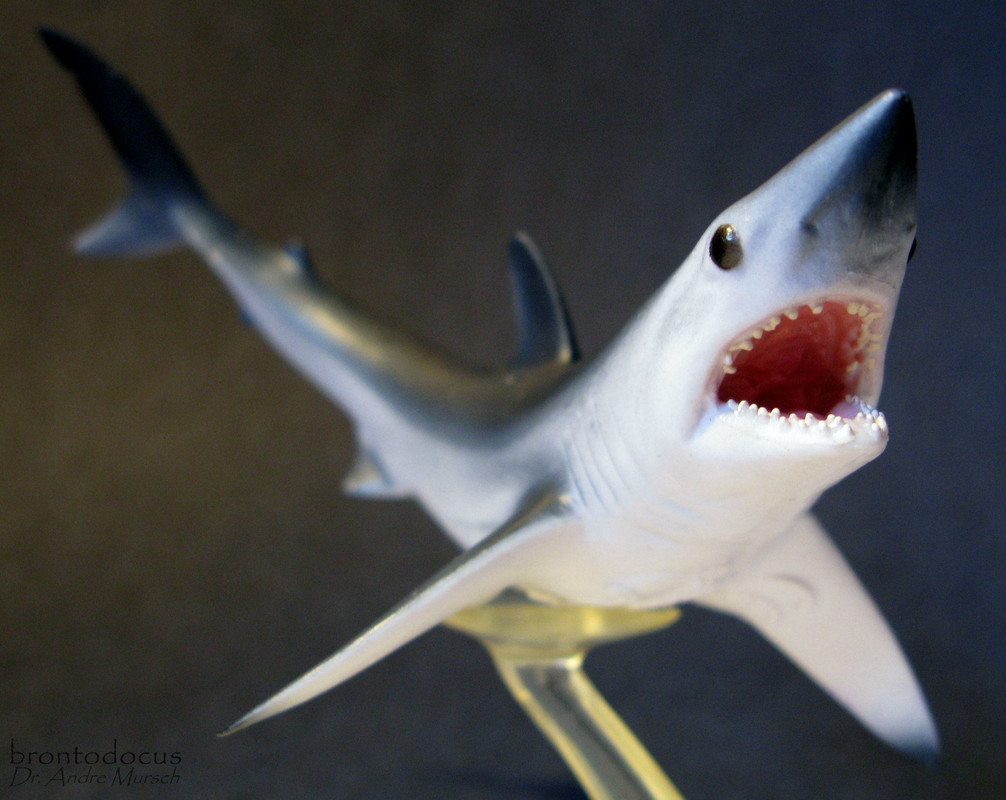 Shortfin Mako Shark Figurine CollectA Free Shipping! 