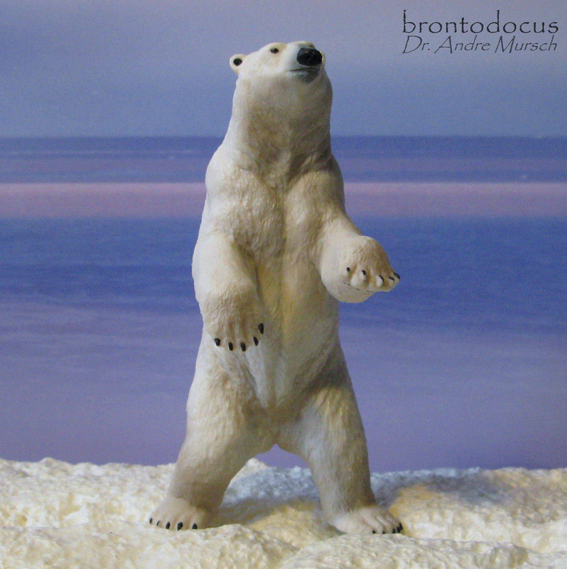 Standing Polar Bear Papo Wild Animals-Standing Polar Bear 50172-NEW 