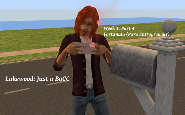 cover4
