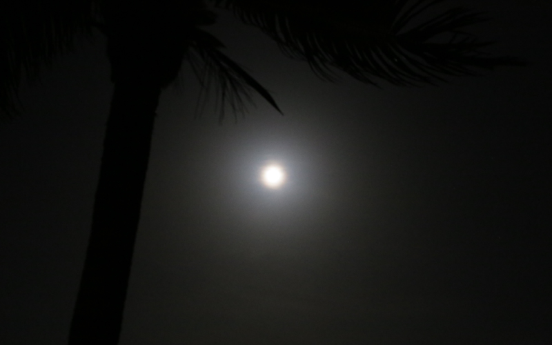 BLEED_GOLD_Catalonia_supermoon_02_zps399728d5