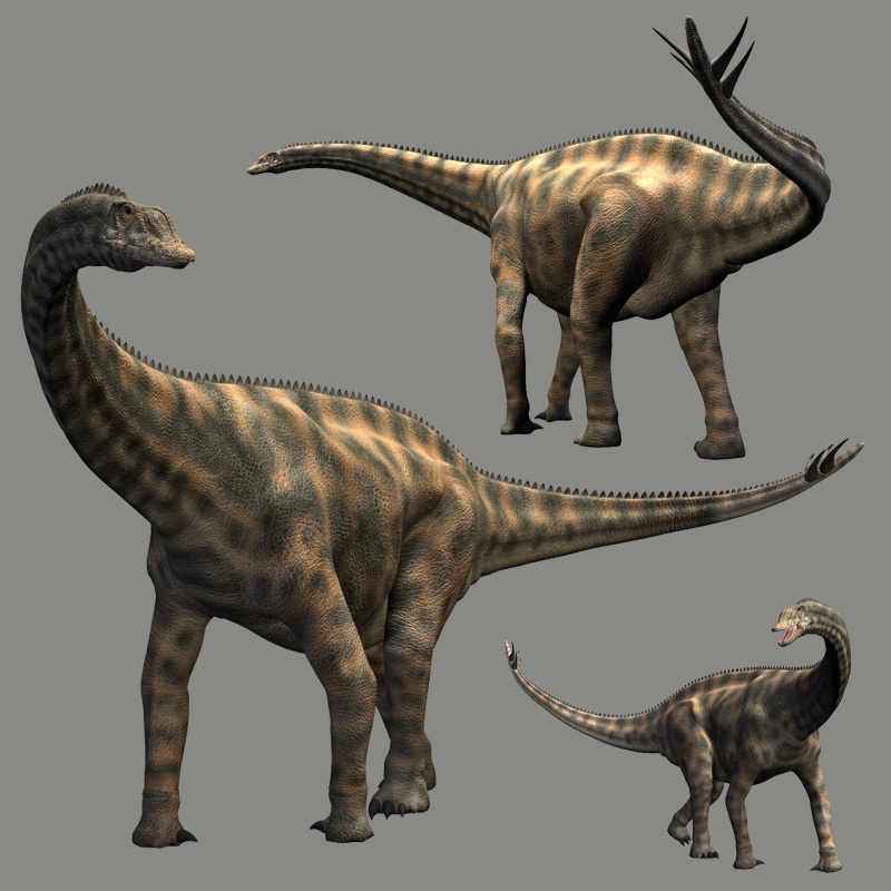 RO74770 Spinophorosaurus DR