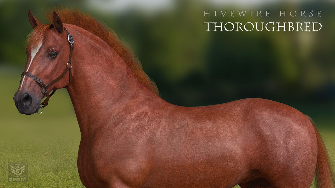 HiveWire Thoroughbred