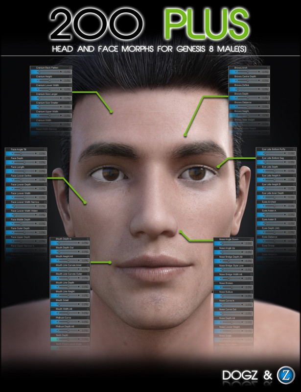 200 Plus Head and Face Morphs for Genesis 8 Male(s)